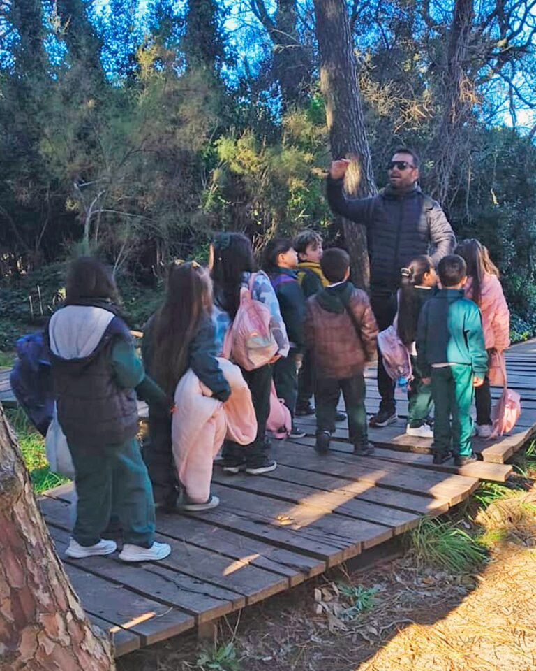 Instagram post from institutovives. This post is in position 2.