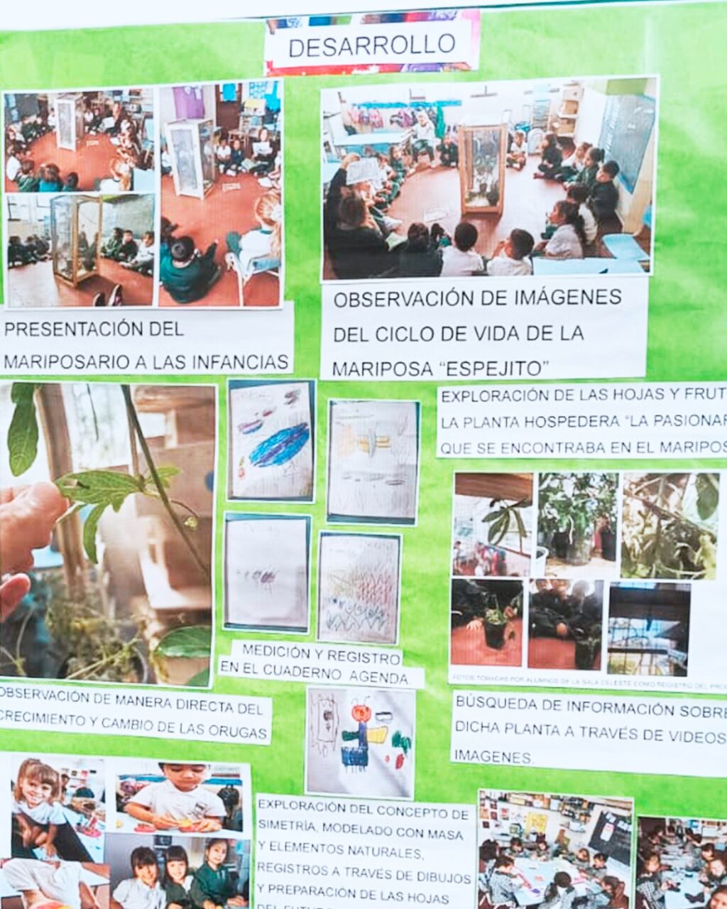 Instagram post from institutovives. This post is in position 2.