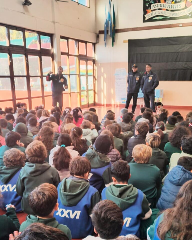 Instagram post from institutovives. This post is in position 1.